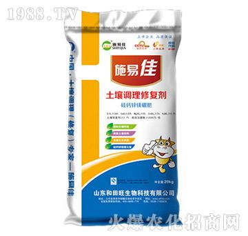 �����{���ޏ̈́�-����������