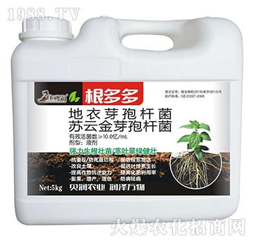 �����-�߲�ؐ��-��ķ�_