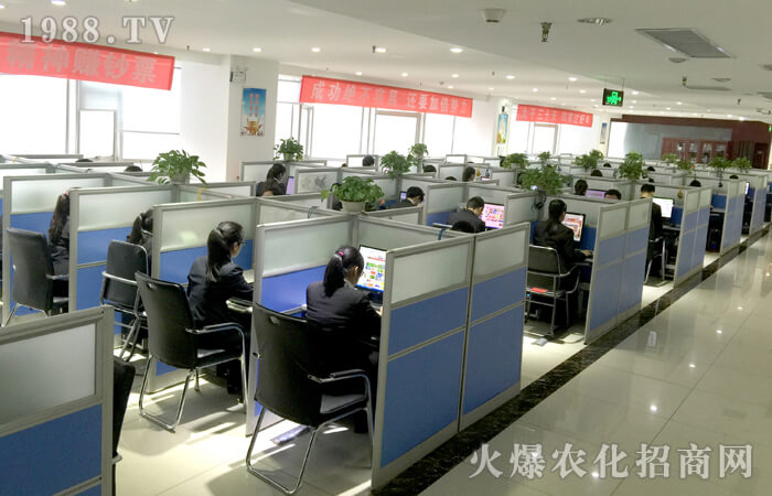 ȫ���Ը�����ƴ����