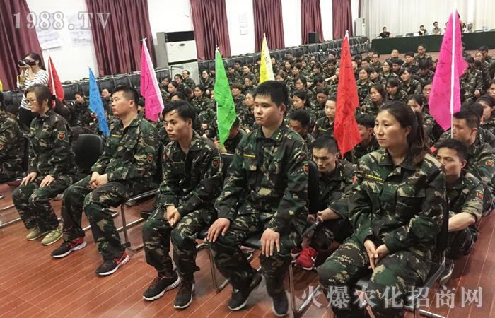 自我突破 破繭成蝶