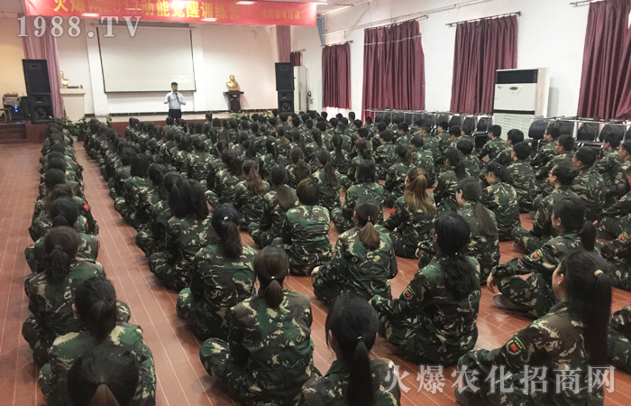 辛酸苦辣,助我成長