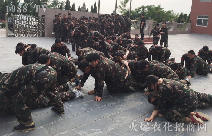 一切不好的結(jié)果,都是自己不努力造成的