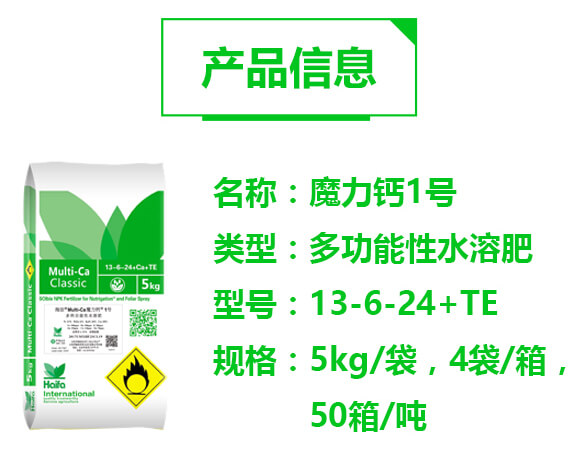 多功能性水溶肥13-6-24+TE-魔力鈣1號-海法科貿(mào)_02