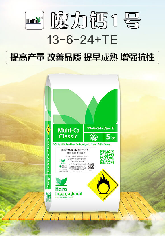多功能性水溶肥13-6-24+TE-魔力鈣1號-海法科貿(mào)_01