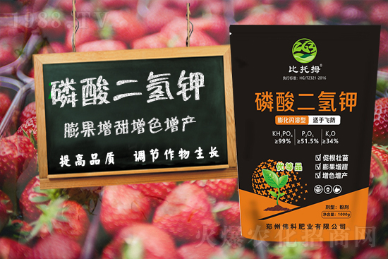 �����ƷʘI(y��)��ףȫ���������µ�һ�����������ࡢ�q�qƽ����