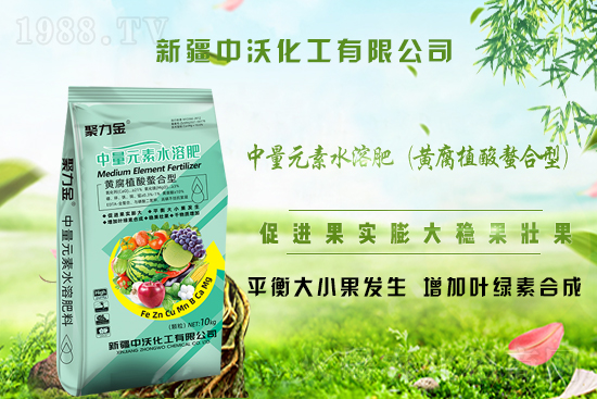 ���½����ֻ�����ף�V�����т�����옷���Ҹ�������