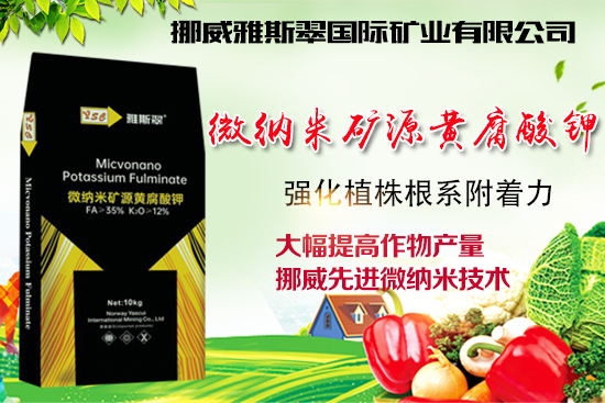 ��Ų����˹�䡿ף�V���N��2022�껢������H�Қg��������(ji��)�옷��