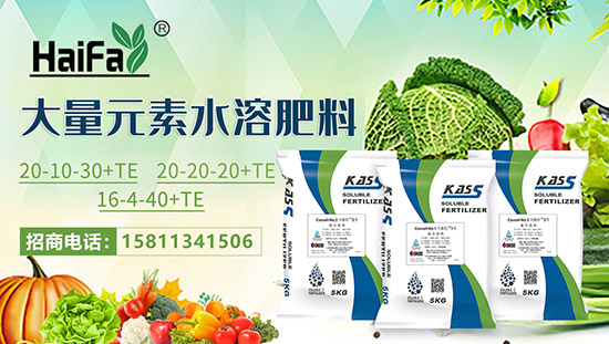 ����ɫ�к������Q(m��o)��ף�r(n��ng)�Y��(j��ng)�N�����т�2022����옷����ϲ�l(f��)ؔ��