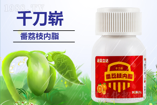 ���ЙC�����S��ף������������������µ�һ�����չ��D��