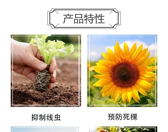 深圳市螢火蟲化學(xué)有限公司-單打獨(dú)斗_04