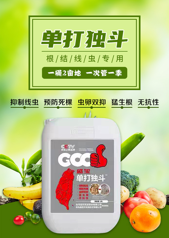 深圳市螢火蟲化學(xué)有限公司-單打獨(dú)斗_01