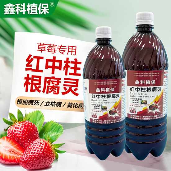 紅中柱根腐靈-鑫科植保2