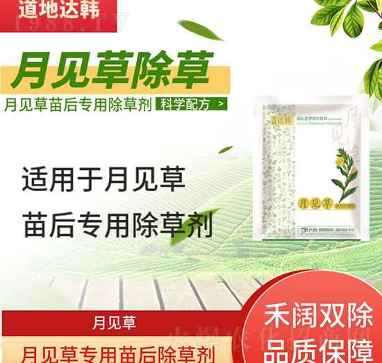 ��Ҋ�ݳ��݄�-��Ҋ�����-��Ҋ�݌���-���n