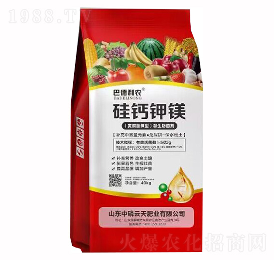 硅鈣鉀鎂-巴德利農-中磷云天