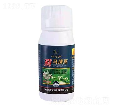 �E�R���������܄�-�E�R��ɷ-Ξ���x