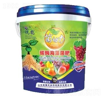 ̼ø�������-�sҫ�r(n��ng)�I(y��)