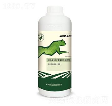 ����(sh��)�����M(j��n)��-���}������-�G���_(d��)