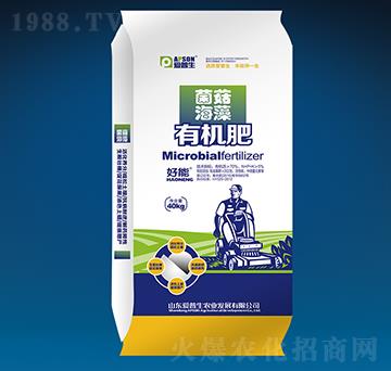 ���������ЙC(j��)��-��(��i)����