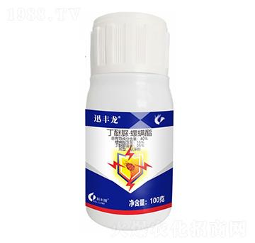 40%�����塤������-Ѹ�S��-����¡����