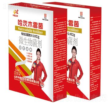 ����ľù��-�ƹ�ʯ-�е����r(n��ng)