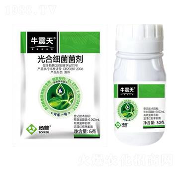 ��ϼ�(x��)������-ţ����-���՘�(l��)