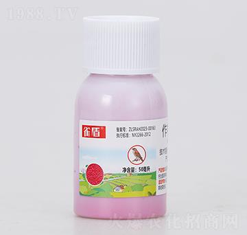 ���ﱣ�o(h��)��-ȸ��-���