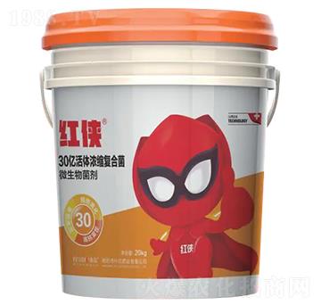 �t�b-�ޏ�(f��)��Y(ji��)�}�n������-�����ʘI(y��)