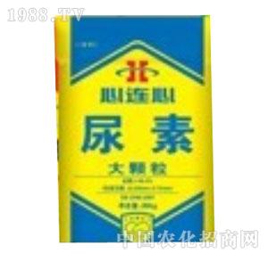 �V�|���-���B������